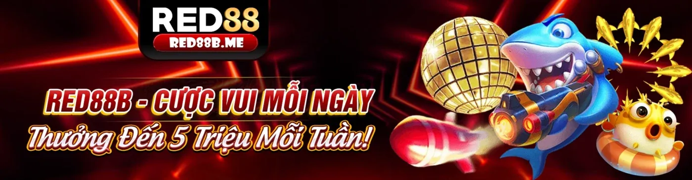Hình ảnh tổng quan các chương trình khuyến mãi của 79win chính thức